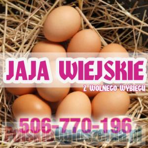 Jaja wiejskie JAJKA z wolnego wybiegu Brodnica Grudziądz