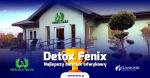 Detoks Fenix