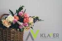 Holandia – praca od zaraz! Produkcja bukietów