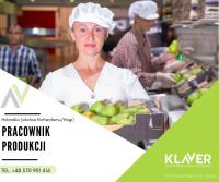 Praca w Holandii- od zaraz! Produkcja, ogrodnictwo, order picker
