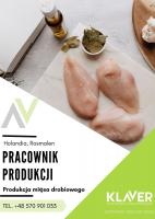 Sortowanie mięsa drobiowego praca dla par od zaraz Holandia praca z zakwaterowaniem !!!