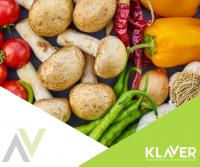 Praca w Holandii- od zaraz! Produkcja, ogrodnictwo, order picker