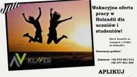 Praca dla uczniów/studentów bez wiekówki ! Od zaraz w Holandii