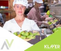 Praca w Holandii na produkcji – bonus 90 euro , Iphone 8 dla kierowców !
