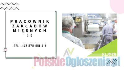 Praca przy mięsie w Holandii 570901414!!