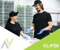 Praca na produkcji w Holandii – okolice Utrecht, Bleiswijk, Nieuwegein