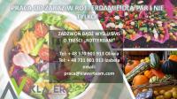 Praca w Holandii- Rotterdam od zaraz! Produkcja, kwiaty