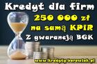 KREDYTY DLA FIRM Z GWARANCJĄ BGK – 250 000 PLN NA SAMĄ KPiR ! 0% PROWIZJI