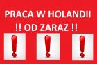 Holandia – Praca od zaraz!