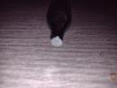 Rubber Balls cal.50 kule gumowe do pistoletu CO2 -nowe!