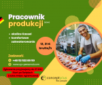 Pracownik produkcji (k/m) - okolice Kassel