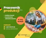 Pracownik produkcji (k/m) - Niemcy