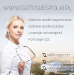 Spółka transportowa - TRANSPORT MIĘDZYNARODOWY