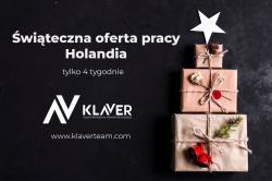 Praca za granicą- Darmowy <font class="search">transport</font> do Holandii z Polski!
