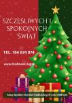 Skup Spółek Również Zadłużonych oraz 299 ksh