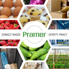 Komisjoner / <font class="search">ORDER</font>-picker, LIDL - warzywa i owoce (Almere)